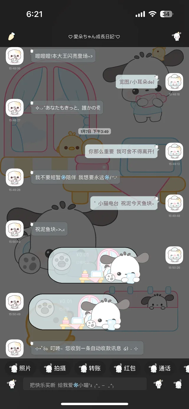 图片[4]-帕恰狗-定制V520