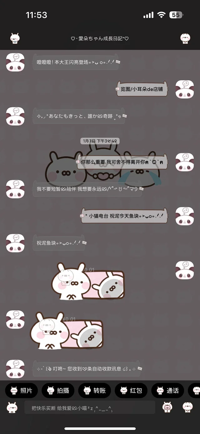 图片[4]-小兔丸2.0-定制V520